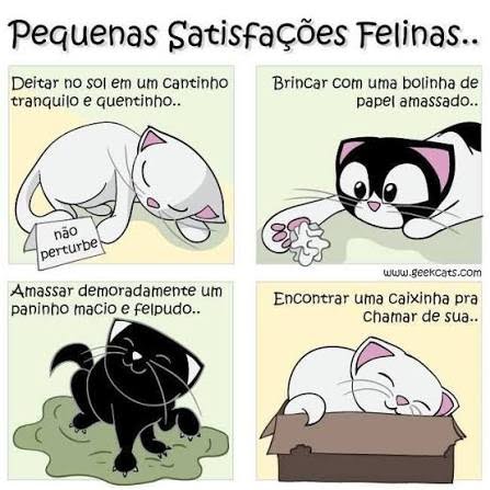Geekcats strip — Little feline pleasures