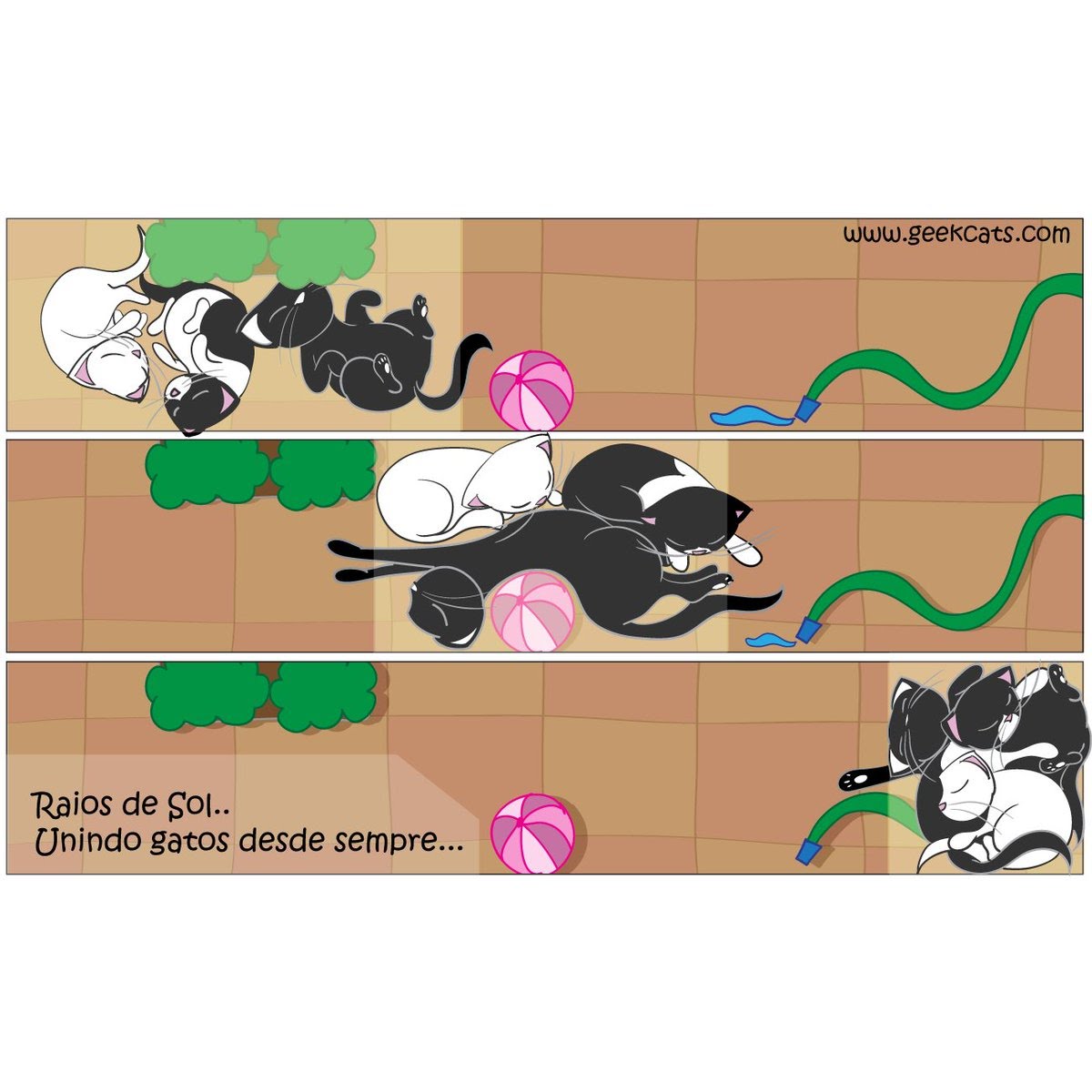 Geekcats strip — Sunbeams